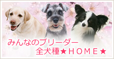 みんなのブリーダー全犬種HOME