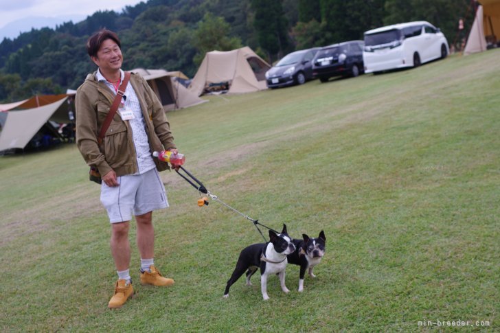 ブリーダーと母犬｜野本　明裕(のもと　あきひろ)ブリーダー(福岡県・ボストンテリア・JKC登録)の紹介写真3