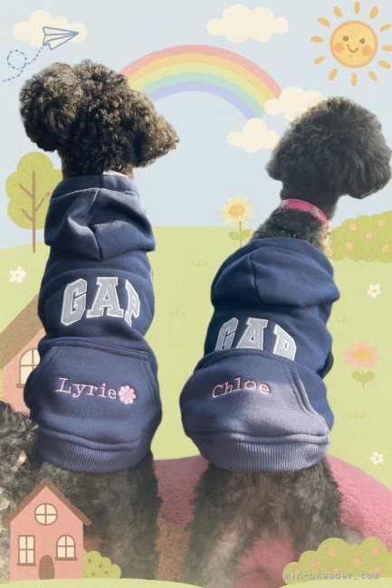 管野真美ブリーダーのブログ：テンシン君＆リーリエ、クロエ姉妹ちゃん達