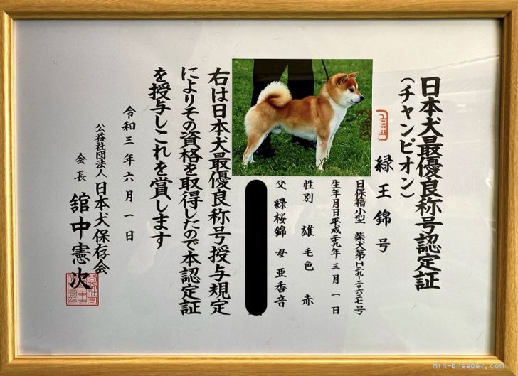富田美和ブリーダーのブログ：緑王錦号(淡路正菊荘)が日本犬保存会 最優良認定犬の称号を獲得しました㊗️