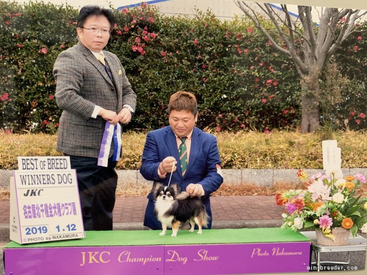 2019/1月チャンピオン完成