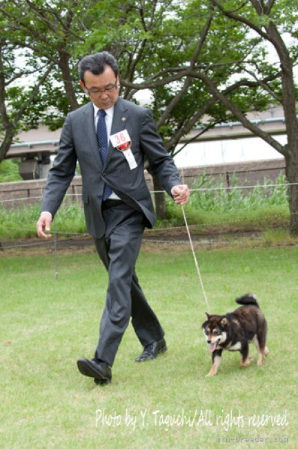 展覧会でパンク町田さんとツーショット 気さくで町田さんの体験談は面白おかしく 勉強になることも一杯で｜中村　英美(なかむら　ひでみ)ブリーダー(茨城県・柴犬など・JKC/日本犬保存会/日本社会福祉愛犬協会登録)の紹介写真5