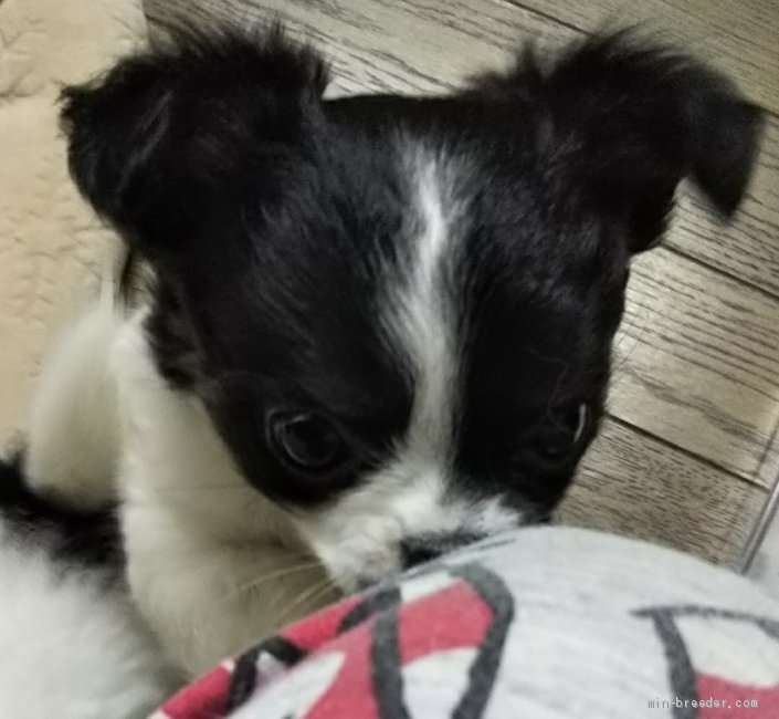 Klgzhu1tnq 5um Klgzhu1tnq 5um