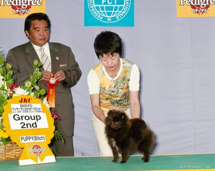 瀬谷　美津子(せや　みつこ)ブリーダー(茨城県・秋田犬など・JKC/日本犬保存会/秋田犬保存会/KC登録)の紹介写真2