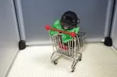チワワ(ロング)【静岡県・女の子・2025年6月18日・ブラックタン&クリーム】の写真13「10㌢カートにin🛒💚」