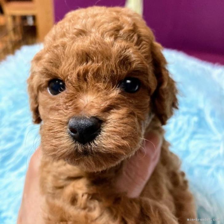 R6oig1hnc86dom R6oig1hnc86dom