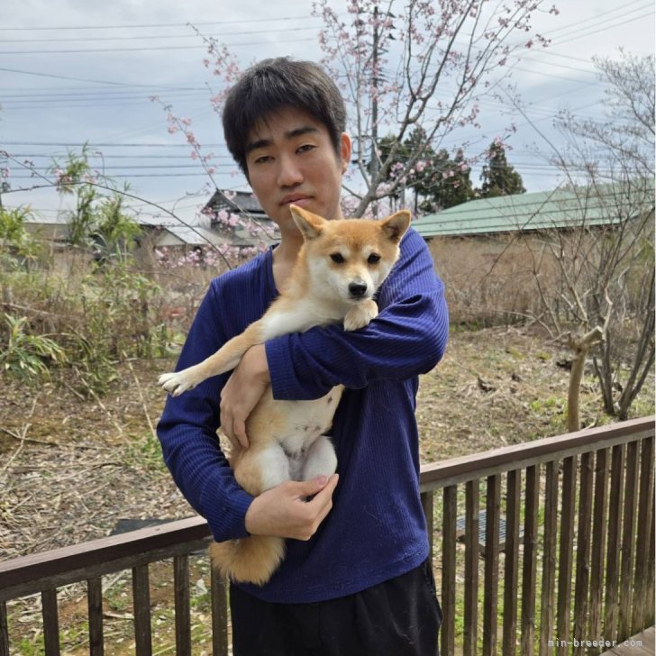 八越三貴也ブリーダー