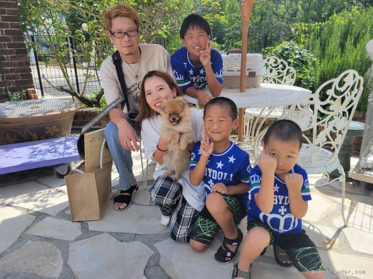 江田大介ブリーダーのブログ：素敵な飼い主様に決まりました✨️