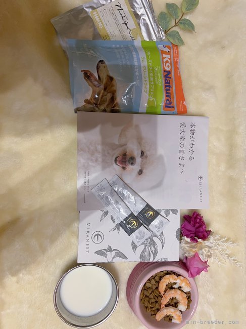 ワンちゃん🐶の産後ケア🩵 BI-SUの犬用ミラネストゼリーを使用しています🩵🩵｜銭　蘭穎(ちぇん　らんいん)ブリーダー(岐阜県・ウェルシュ・コーギー・ペンブロークなど・JKC登録)の紹介写真4
