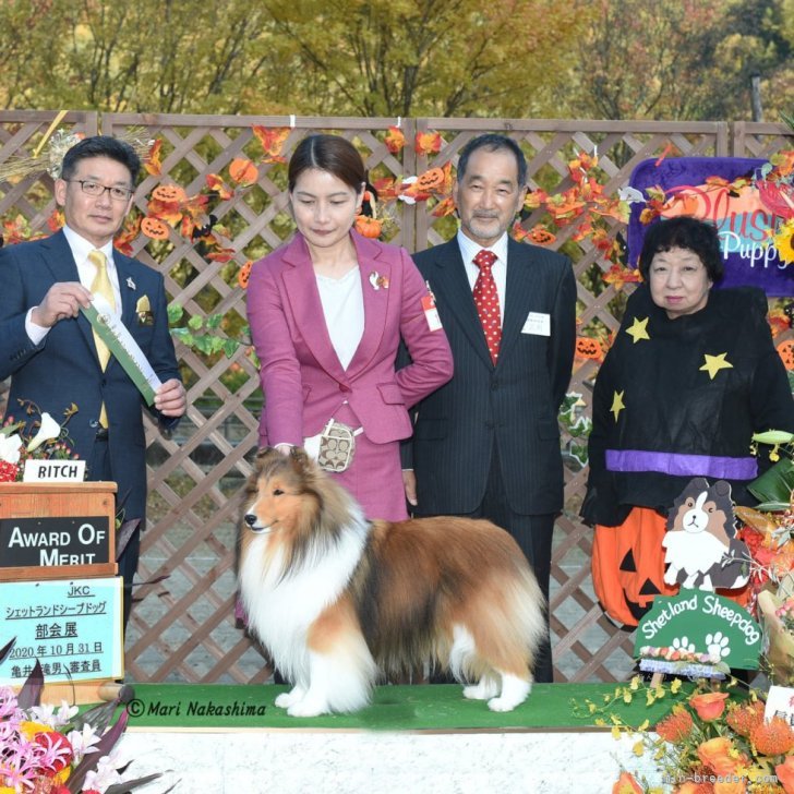 大澤由利香ブリーダー