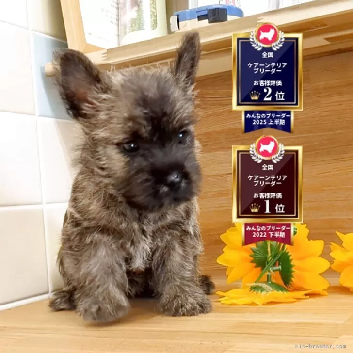 ズミ 様のお迎えした子犬