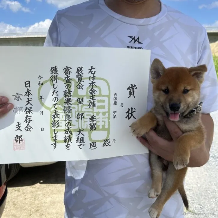 A.M 様のお迎えした子犬