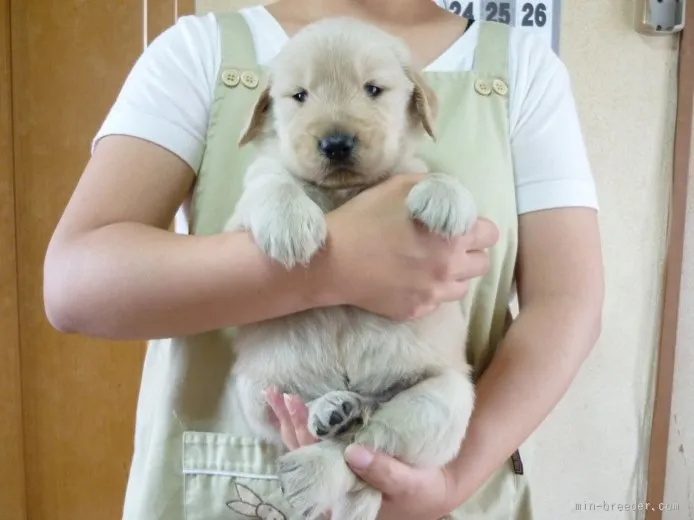 近藤 様のお迎えした子犬