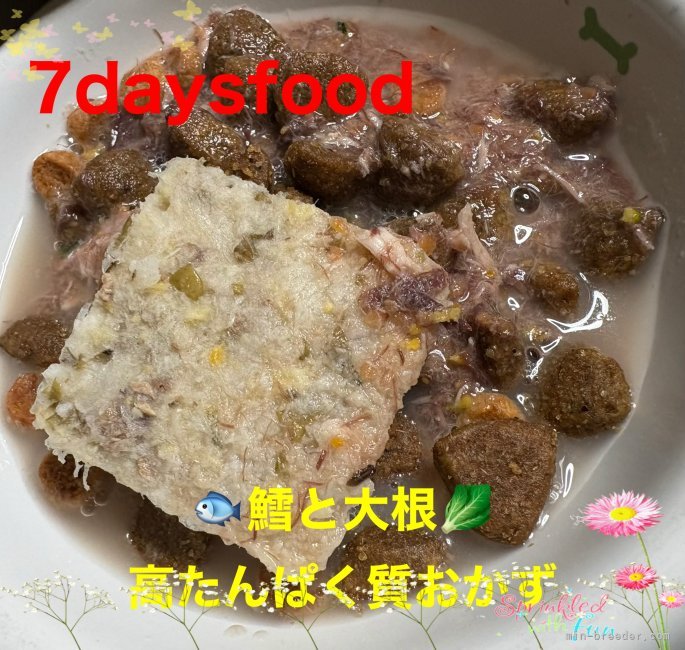 金澤安奈ブリーダーのブログ：💫 9月30日お散歩🏃‍♂️🐕🐕🎶