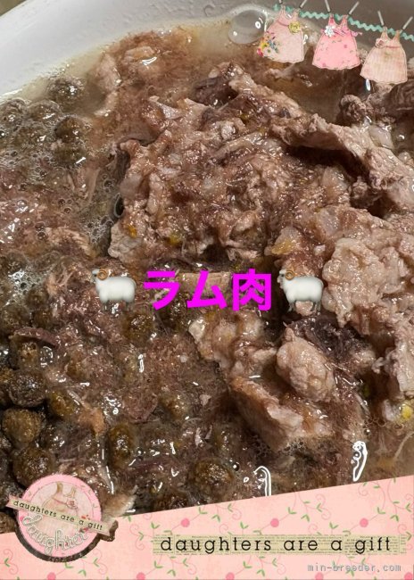 金澤安奈ブリーダーのブログ：💫 11月18日のお散歩🏃‍♂️🐕🎶