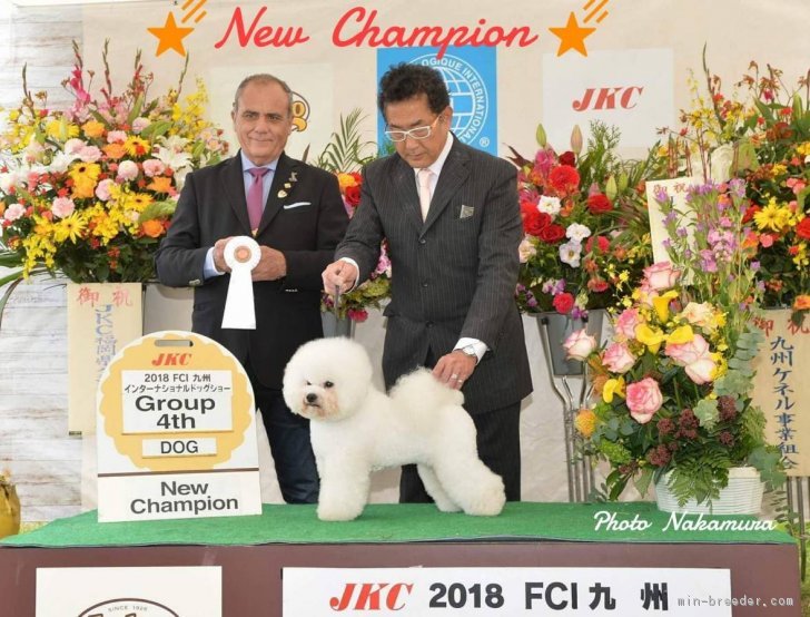 ハンドラー：飯田慎司