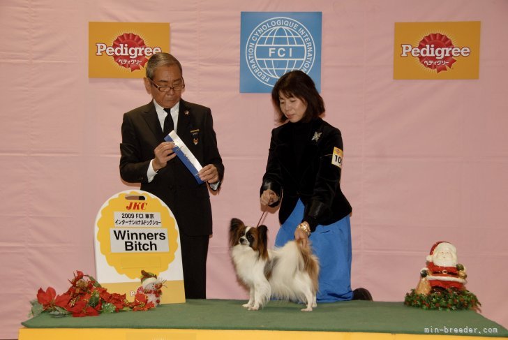 チャンピオンのジョアンがウィナーズビッチに選ばれました｜三塚　由美子(みつづか　ゆみこ)ブリーダー(埼玉県・チワワ(ロング)など・JKC登録)の紹介写真5