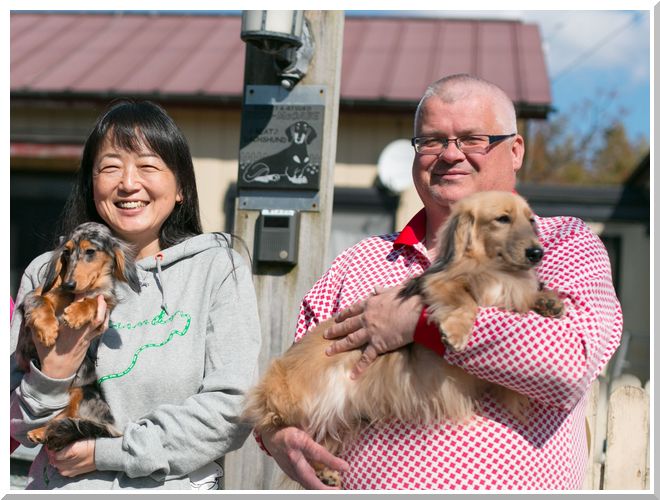 子犬 ダックス ます フンド 譲り ダックス フンド