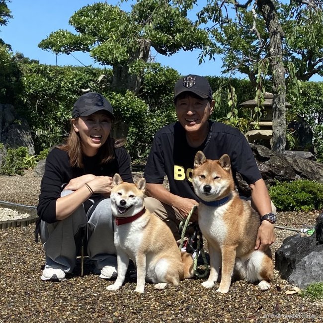 横田幸治ブリーダーのブログ：ハチちゃん💕と、すずちゃん💕