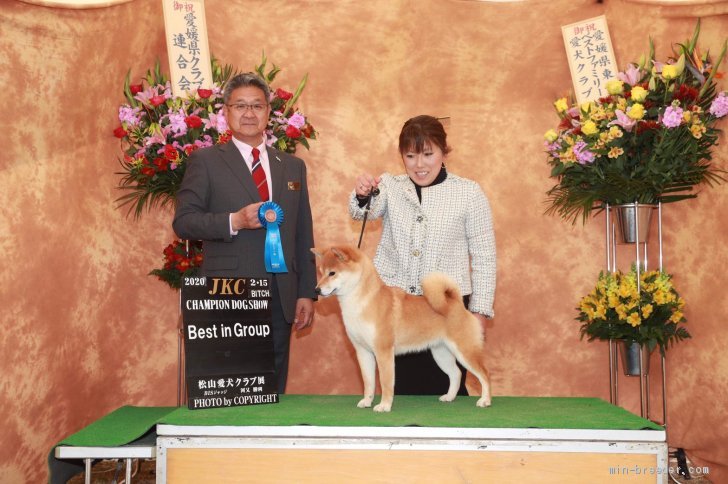 ケイちゃん、良く頑張りました😊
おめでとう🎊