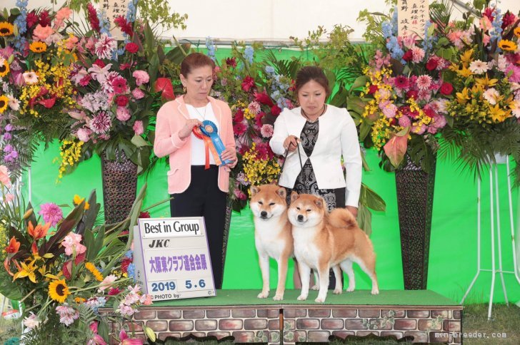 兄妹で受賞😊嬉しいです🎉