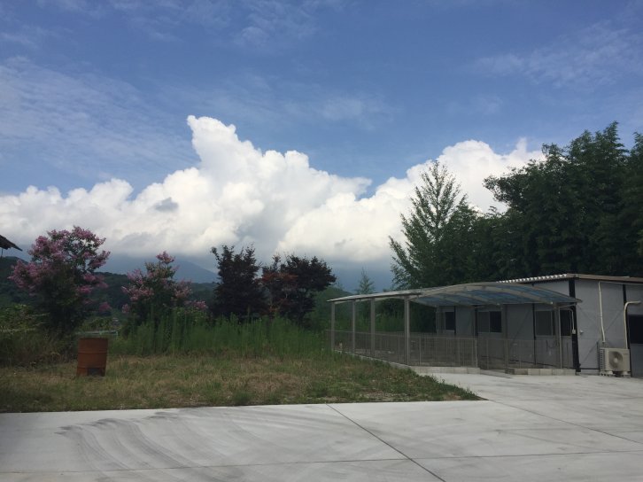 尾野　美希(おの　みき)ブリーダー(奈良県・ブルドッグなど・JKC登録)の紹介写真3