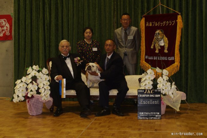 兵庫ブルドッグクラブにて｜田中　亜紀(たなか　あき)ブリーダー(愛知県・ブルドッグなど・JKC登録)の紹介写真3