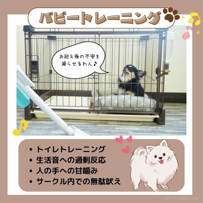 🌈新生活をスムーズに💛 わんちゃんもご家族も安心できるパピトレを実施中🐾｜矢込　晴菜(やごめ　はるな)ブリーダー(静岡県・トイプードルなど・JKC登録)の紹介写真2