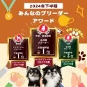 ビションフリーゼ【静岡県・男の子・2024年12月18日・ホワイト】の写真14「👑ブリーダーランキング静岡県全犬種1位獲得👑たくさんの心温まるお言葉でここまで来れました😭」