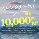 トイプードル(トイ)【静岡県・女の子・2025年6月23日・レッド】の写真12「🚗レンタカー代全額負担🚙観光がてらにぜひ、会いに来てください💕」
