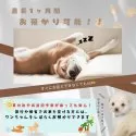 トイプードル(トイ)【静岡県・女の子・2025年3月22日・レッド】の写真12「👀すぐにお迎えが難しい方必見✨夏休み期間🐶お預かりもできちゃいます☀️🏖️」