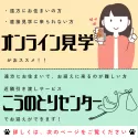 ポメラニアン【静岡県・男の子・2025年8月6日・クリーム】の写真6「🛫オンライン見学や近隣引き渡しサービスも可能🚄遠方で直接犬舎へ来れない方にもオススメ✨」
