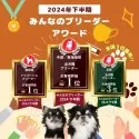 チワワ(ロング)【静岡県・男の子・2025年4月29日・ブラックタン&ホワイト】の写真15「👑ブリーダーランキング静岡県全犬種1位獲得👑たくさんの心温まるお言葉でここまで来れました😭」