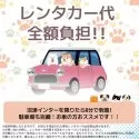 ポメラニアン【静岡県・女の子・2025年2月5日・ウルフセーブル】の写真13「🚗レンタカー代全額負担🚙観光がてらにぜひ、会いに来てください💕」