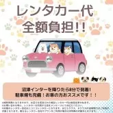 トイプードル(トイ)【静岡県・男の子・2025年4月6日・レッド】の写真13「🚗レンタカー代全額負担🚙観光がてらにぜひ、会いに来てください💕」