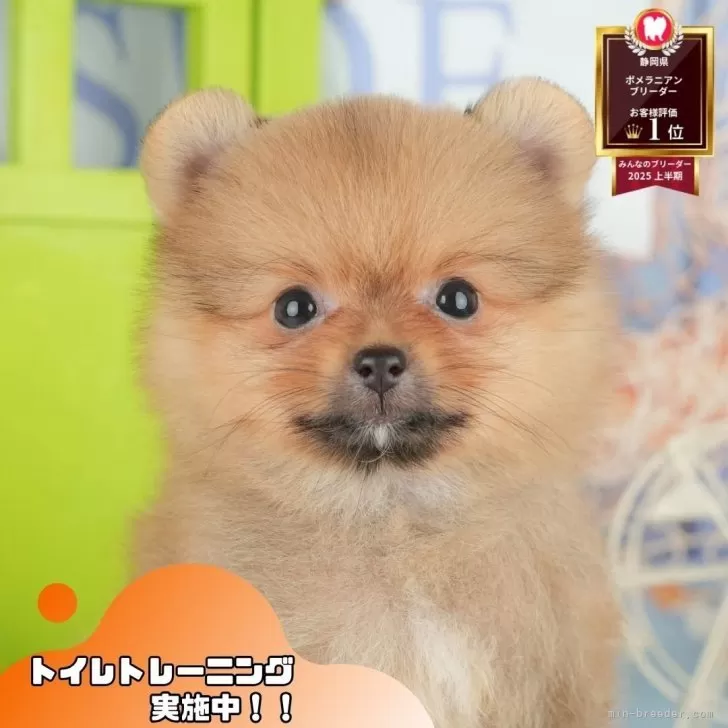 由美 様のお迎えした子犬