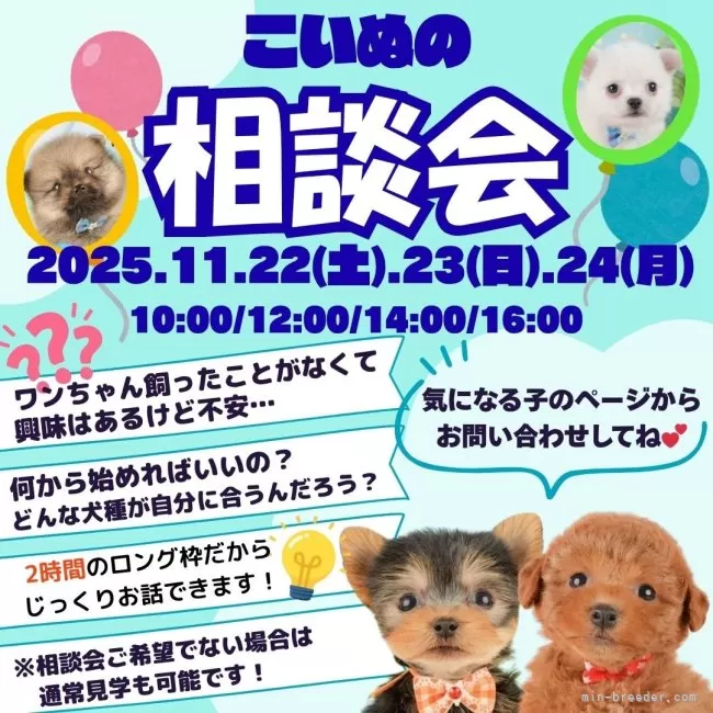 オーダー受付　6犬種わんこ　ご予約ページ　9/11 オーダー受付 6犬種わんこ ご予約ページ 9/22 オーダー受付 4犬種