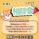 タイニープードル【静岡県・男の子・2025年5月2日・ホワイト】の写真2「🐾はじめての一歩がワクワクに！ 運命の子と出会えるお迎え前相談会🎉」