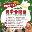 ポメラニアン【静岡県・男の子・2025年10月2日・パーティ】の写真2「✨40頭以上のこいぬが大集合！🎁12/6(土)は全犬種見学会🐶💕」