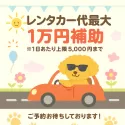 ポメプー(ポメラニアン×トイプードル)【群馬県・男の子・2025年3月2日・アプリコット】の写真4「🐾ご成約特典✨レンタカー代最大1万円補助🚙」