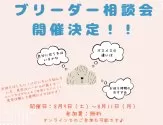 チワプー(チワワ×トイプードル)【群馬県・女の子・2025年6月26日・レッド】の写真3「ブリーダー相談会開催♪質問だけでも大歓迎です🐾」