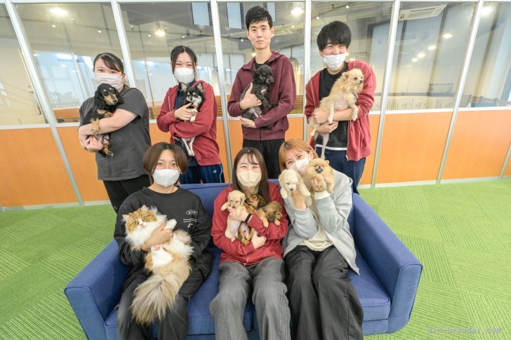 🌟ご見学お待ちしております🌟｜峯田　遥香(みねた　はるか)ブリーダー(茨城県・トイプードルなど・JKC登録)の紹介写真10