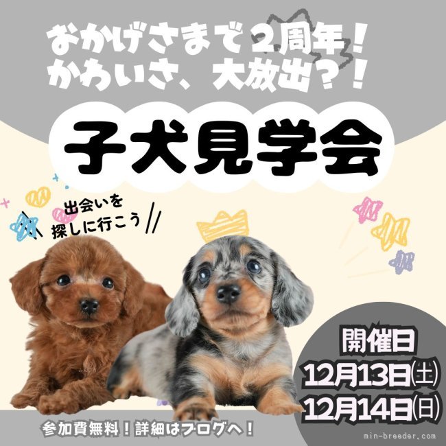 鈴木理菜ブリーダー