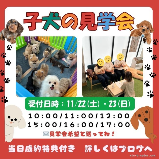 鈴木理菜ブリーダー