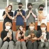 チワワ(ロング)【茨城県・女の子・2025年9月12日・ブラック&タン】の写真13「みんなわんちゃんが大好きです💕大切にお世話し、ご家族の元に送り出しています☺️」