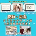 ポメラニアン【茨城県・男の子・2025年6月23日・オレンジ】の写真6「愛知・広島のコウノトリ限定でサポート料3万円を負担します！詳しくはお問い合わせください🌟」