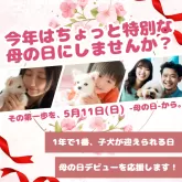 トイプードル(トイ)【茨城県・女の子・2025年2月5日・レッド】の写真2「1年で一番ワンちゃん、ネコちゃんがお迎えされる日に母デビューしませんか？」