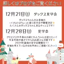 カニンヘンダックスフンド(ロング)【茨城県・男の子・2024年9月7日・ブラック&タン】の写真7「12月21日:ダックスちゃんのみの見学会🐶12月28日:2024年最後の見学会✨」