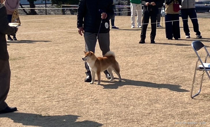 御沓寛司ブリーダーのブログ：長かった……春🐕️
