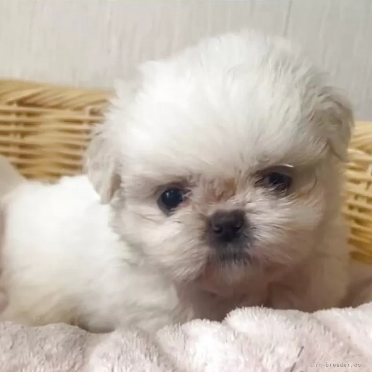 さんちゃんページ Sの自乗 (@s_no_yonjo) / Posts / X